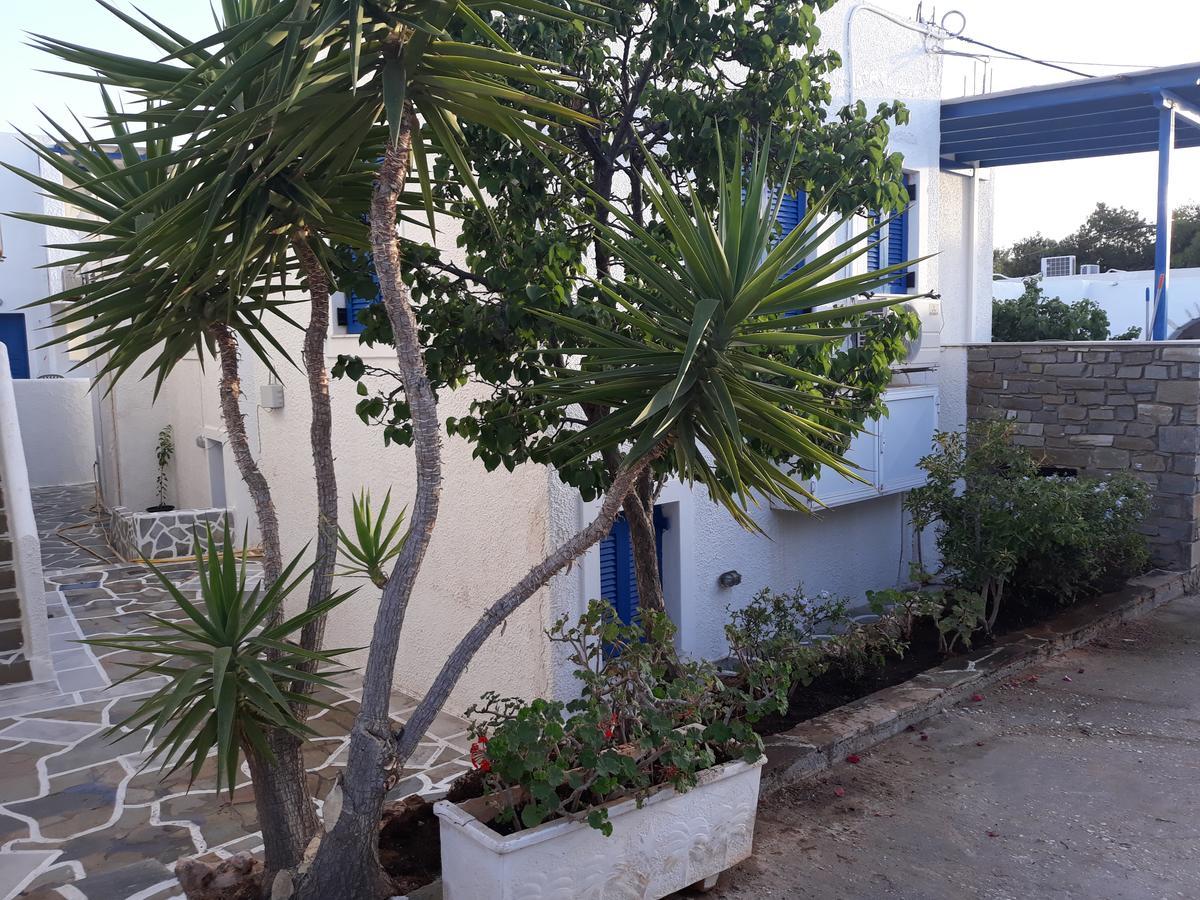 Holidays In Paros Alikí Exteriér fotografie
